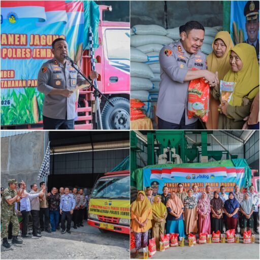 Polres Jember Dorong Penyerapan Hasil Panen Jagung Petani melalui Sinergi dengan Bulog Polres Jember Dorong Penyerapan Hasil Panen Jagung Petani melalui Sinergi dengan Bulog
