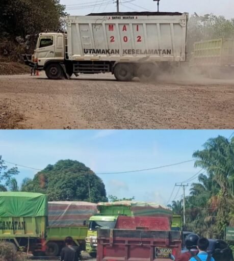Truk Batubara Rusak Jalan Umum, Pemuda PALI Tantang Perusahaan: Bangun Flyover atau Stop Melintas! Truk Batubara Rusak Jalan Umum, Pemuda PALI Tantang Perusahaan: Bangun Flyover atau Stop Melintas!