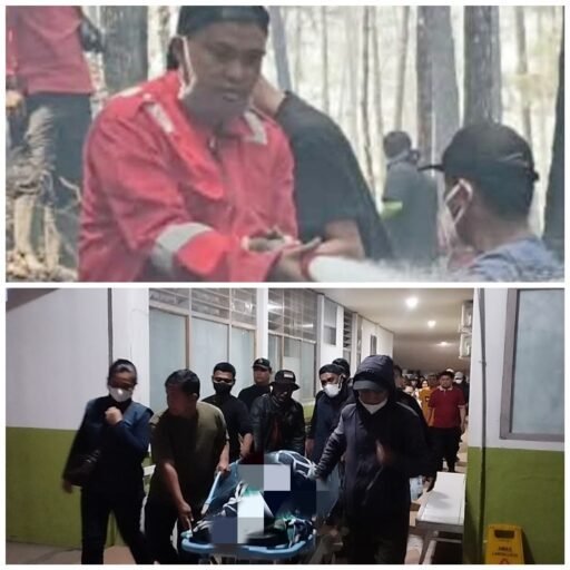 Karhutla Bawa Duka di Hening Malam Hutan Nanggala, 1 Polhut KPH Saddang II Meninggal Tertimpa Pohon Karhutla Bawa Duka di Hening Malam Hutan Nanggala, 1 Polhut KPH Saddang II Meninggal Tertimpa Pohon