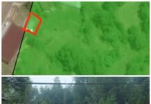 Miris! Kawasan Hutan di Kabupaten Tana Toraja Diduga Diperjualbelikan dan Disertifikatkan