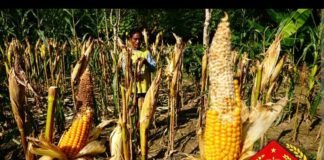 BUMDes Mandek, PMD Cuci Tangan